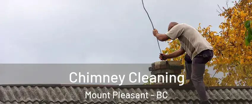  Chimney Cleaning Mount Pleasant - BC