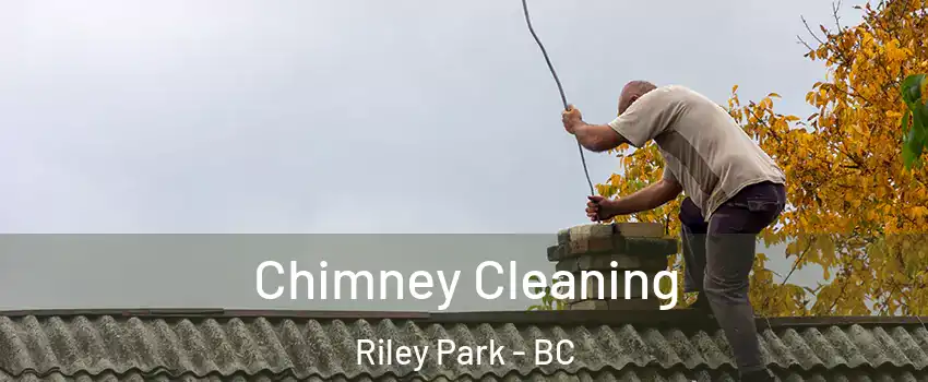  Chimney Cleaning Riley Park - BC
