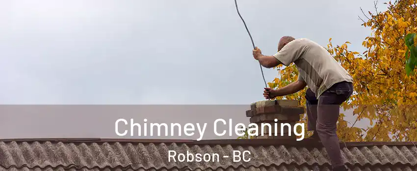  Chimney Cleaning Robson - BC