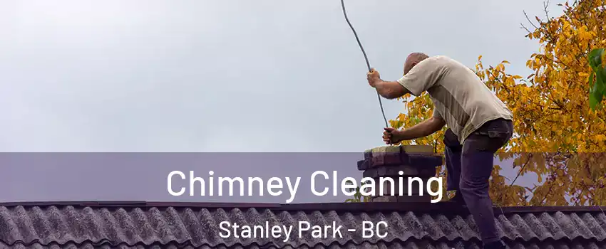  Chimney Cleaning Stanley Park - BC
