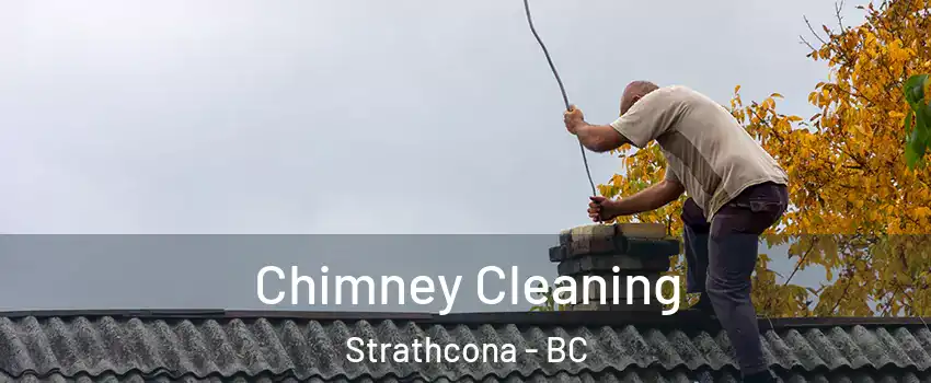  Chimney Cleaning Strathcona - BC