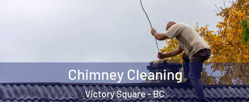  Chimney Cleaning Victory Square - BC