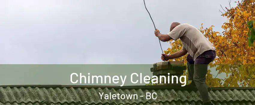  Chimney Cleaning Yaletown - BC