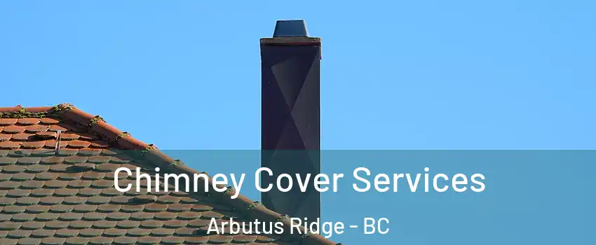  Chimney Cover Services Arbutus Ridge - BC