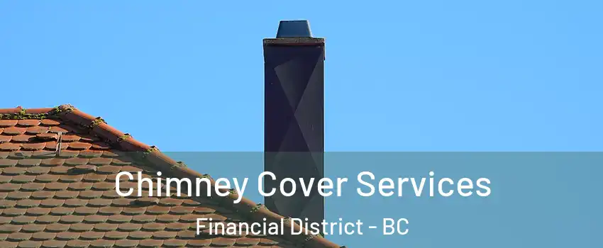  Chimney Cover Services Financial District - BC