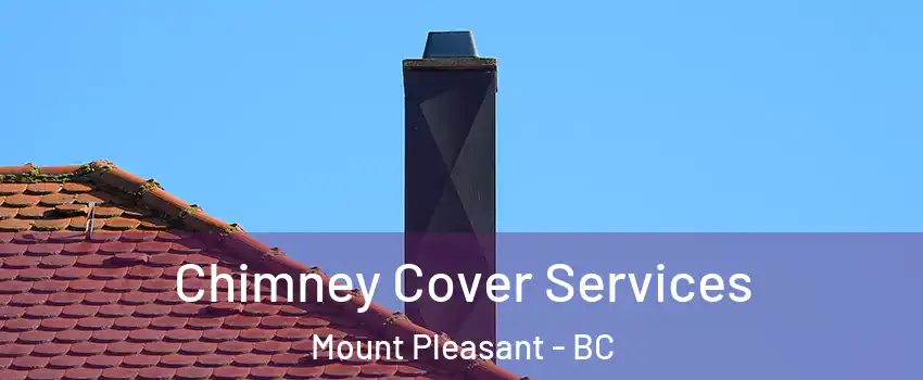  Chimney Cover Services Mount Pleasant - BC