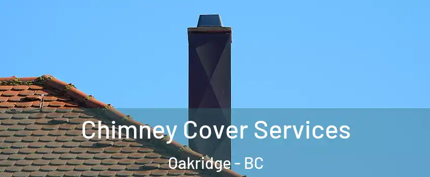  Chimney Cover Services Oakridge - BC