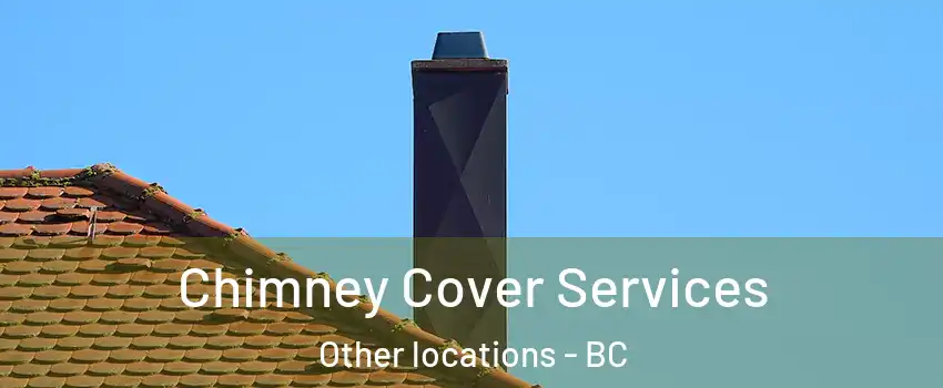  Chimney Cover Services Other locations - BC