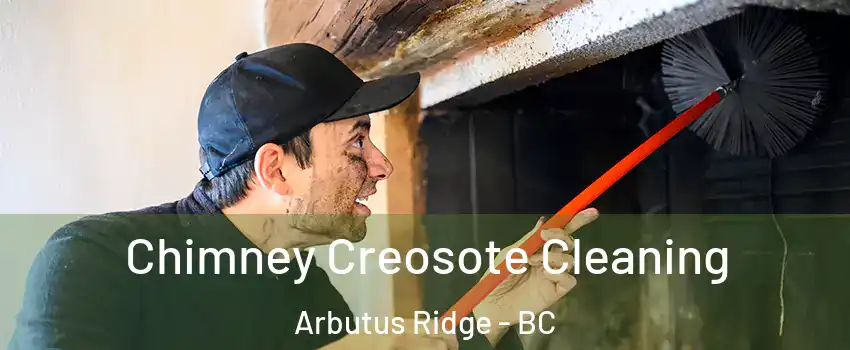  Chimney Creosote Cleaning Arbutus Ridge - BC