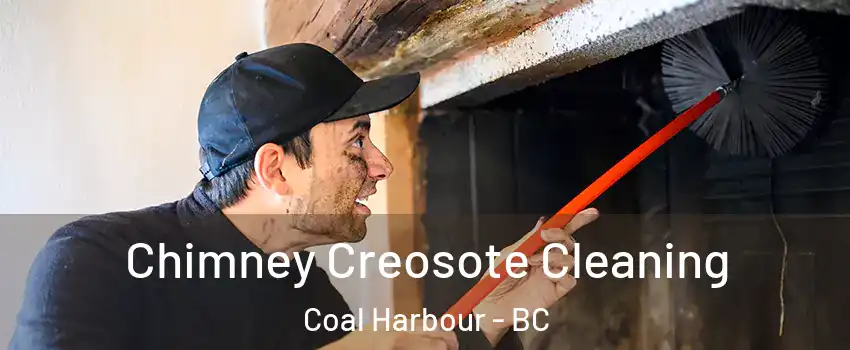  Chimney Creosote Cleaning Coal Harbour - BC