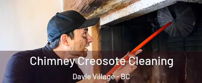  Chimney Creosote Cleaning Davie Village - BC