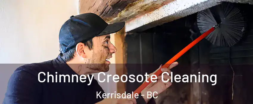  Chimney Creosote Cleaning Kerrisdale - BC