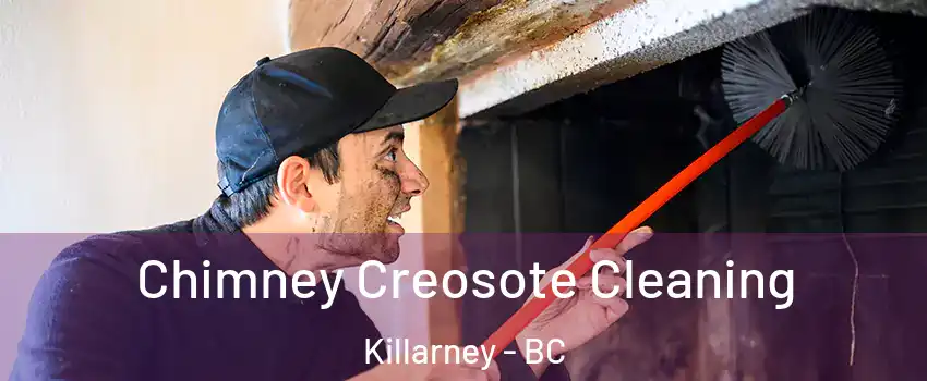  Chimney Creosote Cleaning Killarney - BC