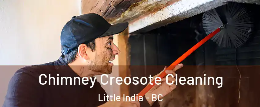  Chimney Creosote Cleaning Little India - BC