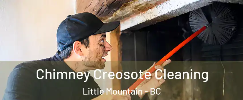  Chimney Creosote Cleaning Little Mountain - BC