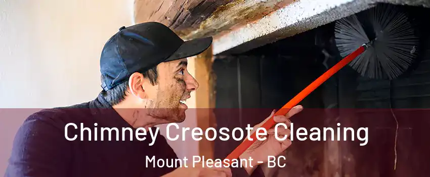  Chimney Creosote Cleaning Mount Pleasant - BC