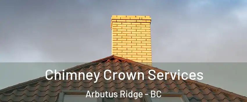 Chimney Crown Services Arbutus Ridge - BC