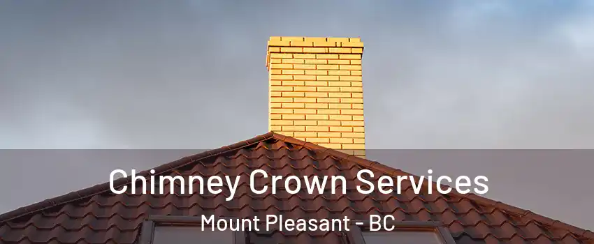 Chimney Crown Services Mount Pleasant - BC