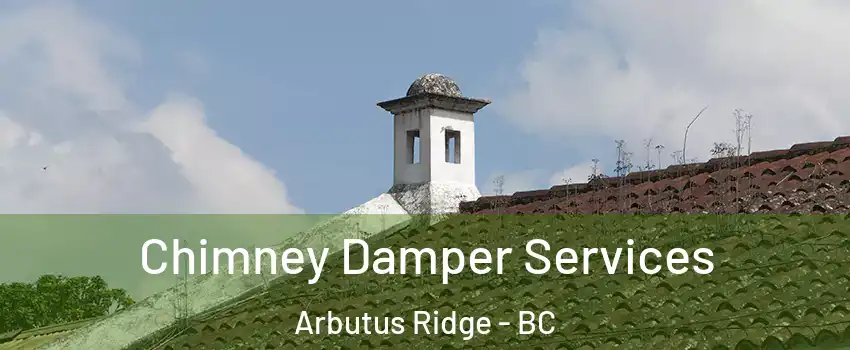  Chimney Damper Services Arbutus Ridge - BC