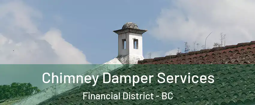  Chimney Damper Services Financial District - BC