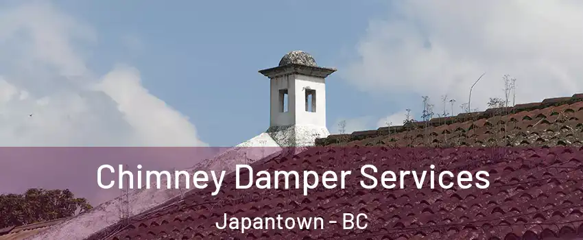 Chimney Damper Services Japantown - BC