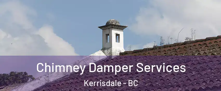  Chimney Damper Services Kerrisdale - BC