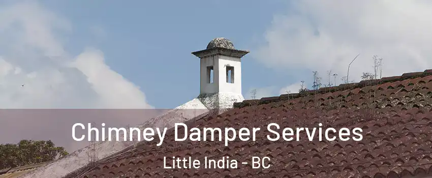  Chimney Damper Services Little India - BC