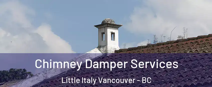  Chimney Damper Services Little Italy Vancouver - BC
