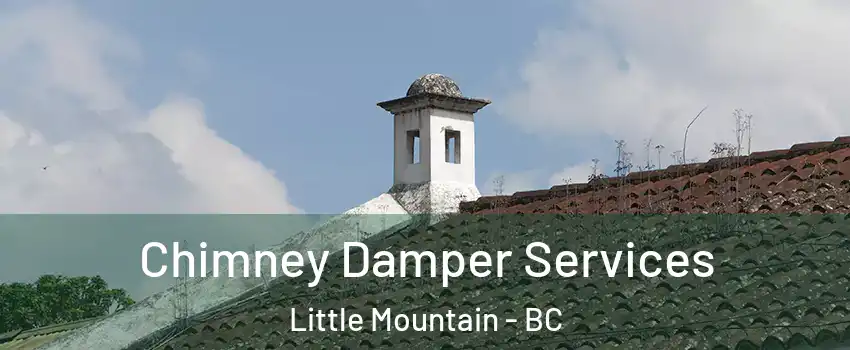  Chimney Damper Services Little Mountain - BC