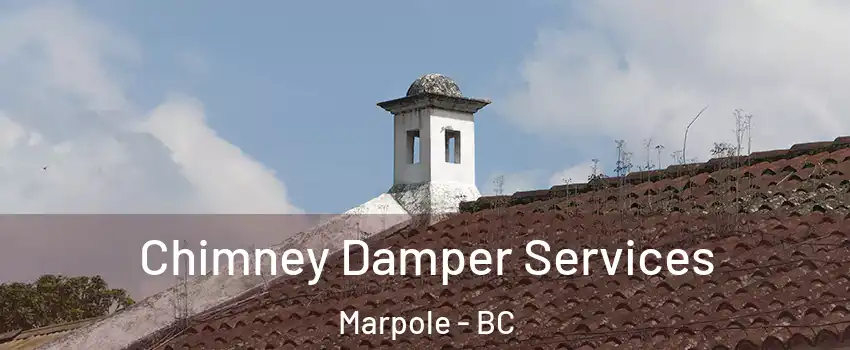  Chimney Damper Services Marpole - BC