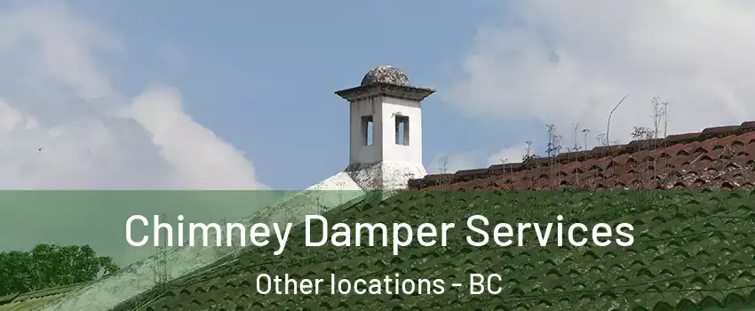  Chimney Damper Services Other locations - BC