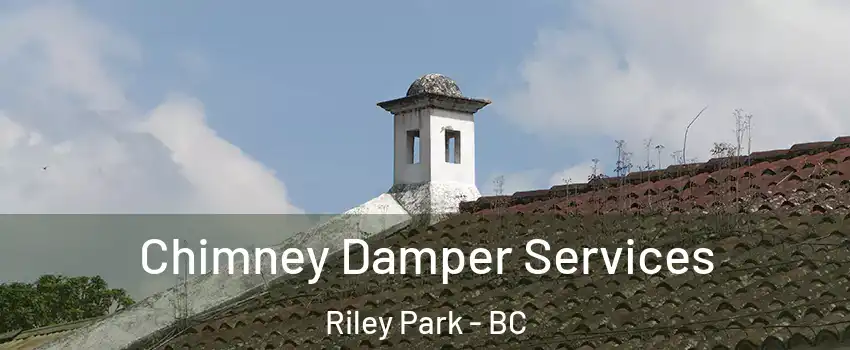  Chimney Damper Services Riley Park - BC