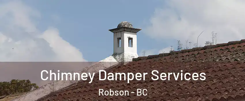  Chimney Damper Services Robson - BC