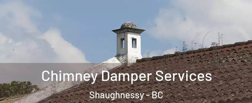  Chimney Damper Services Shaughnessy - BC