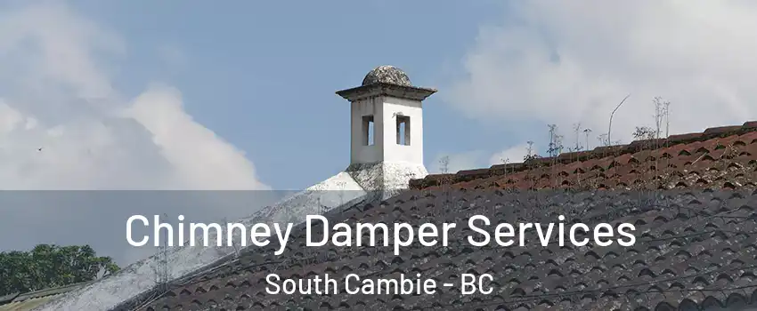  Chimney Damper Services South Cambie - BC