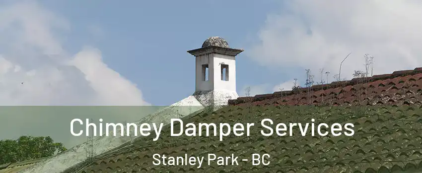  Chimney Damper Services Stanley Park - BC