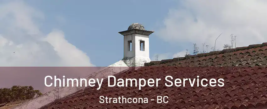  Chimney Damper Services Strathcona - BC