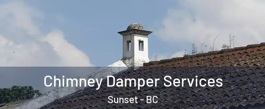  Chimney Damper Services Sunset - BC
