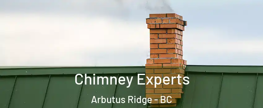 Chimney Experts Arbutus Ridge - BC