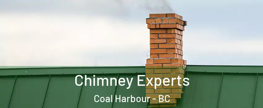 Chimney Experts Coal Harbour - BC