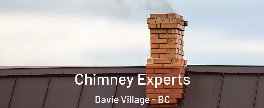 Chimney Experts Davie Village - BC