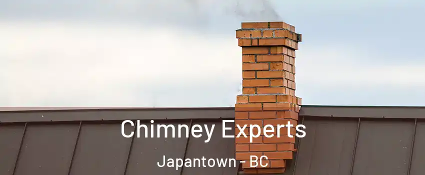 Chimney Experts Japantown - BC