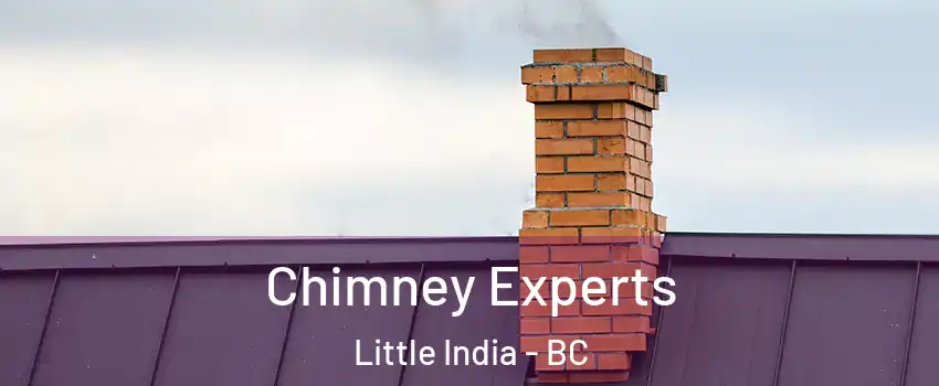 Chimney Experts Little India - BC