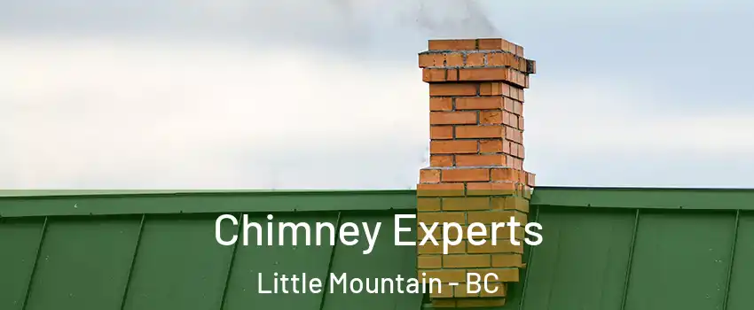 Chimney Experts Little Mountain - BC