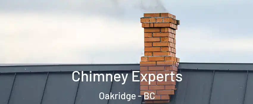 Chimney Experts Oakridge - BC