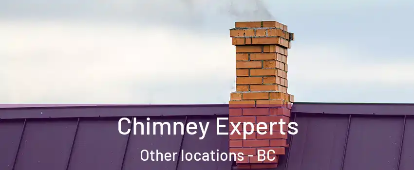 Chimney Experts Other locations - BC