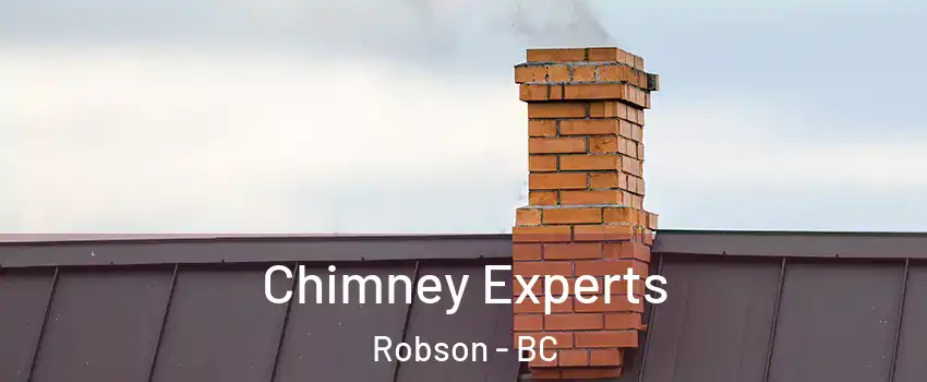 Chimney Experts Robson - BC