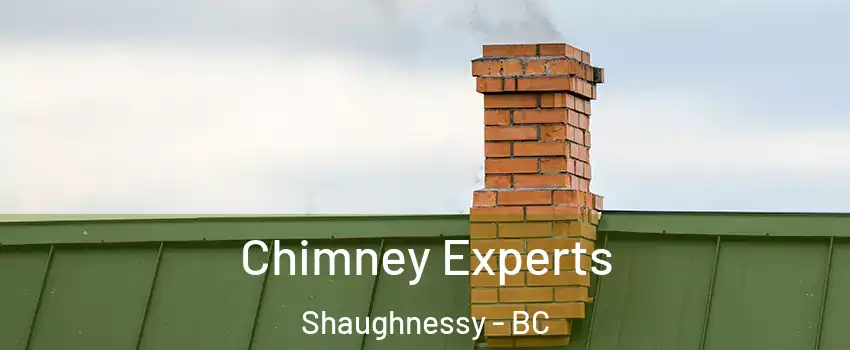Chimney Experts Shaughnessy - BC