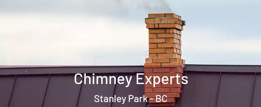 Chimney Experts Stanley Park - BC
