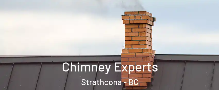 Chimney Experts Strathcona - BC
